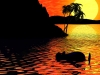 Fun wallpaper 81